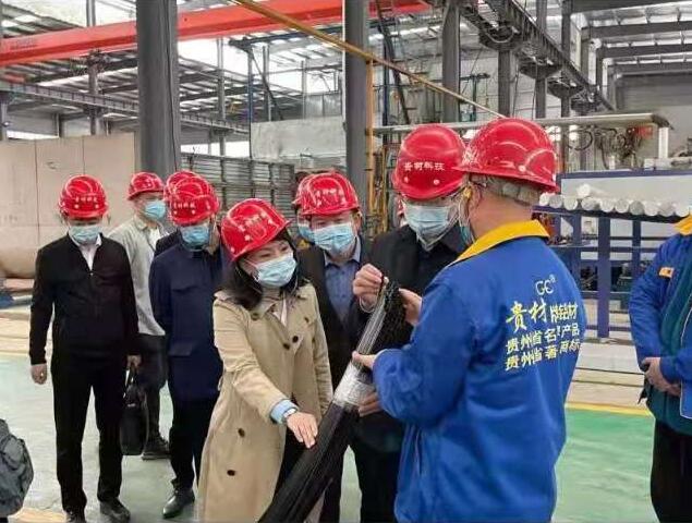 貴陽市常委、市工商聯(lián)、廣東總商會(huì)一行到我廠調(diào)研